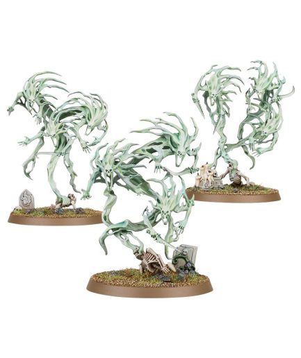 Spirit Hosts